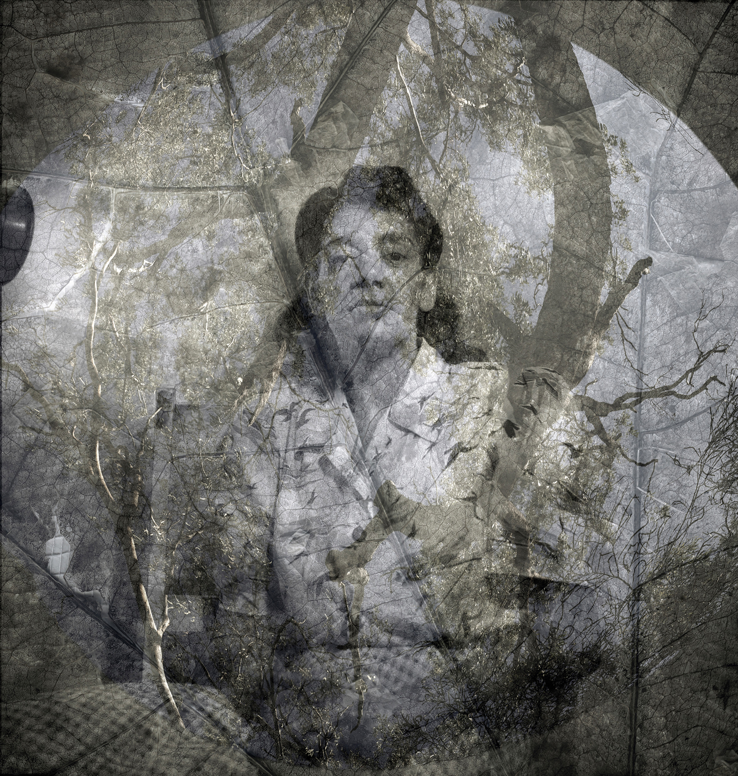 Black and white photograph of a dark-haired woman dressed in a 1950s-style blouse and skirt. The photograph is blended with another faded blue and green toned photograph of trees and sky, as well as the detailing of a leaf’s veins.